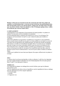 Bonjour et bienvenu sur la partie de mon site en francais qui traite