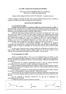 Texte rédigé - Académie de Lyon