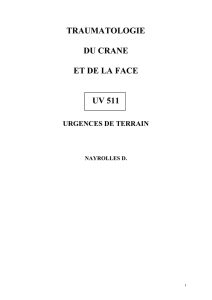 UV_511_TRAUM_CRANE