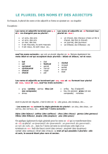 LE PLURIEL DES NOMS ET DES ADJECTIFS