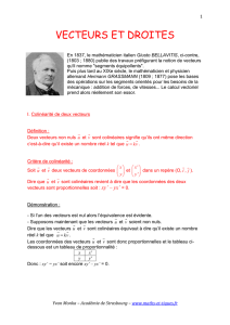 1 VECTEURS ET DROITES En 1837, le mathématicien italien
