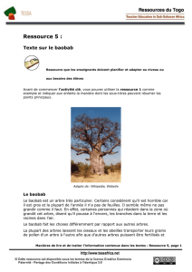Texte sur le baobab