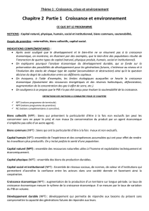 Thème 1 : Croissance, crises et environnement