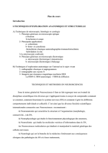 Principales techniques et méthodes utilisées en Neurosciences