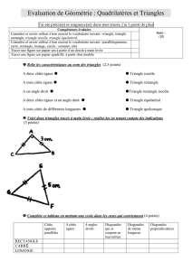 Evaluation de Géométrie : Quadrilatères et Triangles