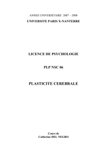 licence de psychologie - Bienvenue chez Gandalf Le Magicien