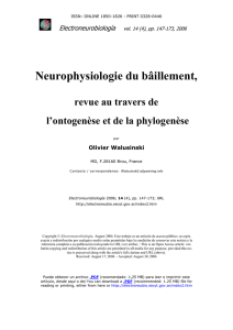 Neurophysiologie du bâillement