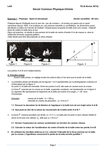 B. Deuxième phase - Site de Physique