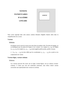 Nous avons regroupé dans cette annexe certains éléments d