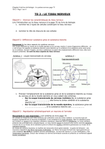 Chapitre 8 du livre de biologie : le système nerveux page 75 TD 2