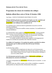 programme de Troisième du Bulletin officiel n°10 du 15 octobre 1998