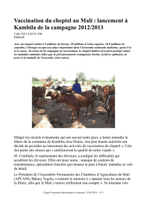 Vaccination du cheptel au Mali : lancement à Kambila de la