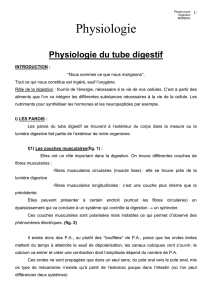 1/ Physio.cours Digestion MOREAU Physiologie Physiologie du