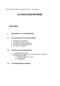 I . Généralités sur la nucléosynthèse