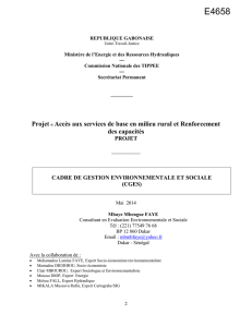 7. gestion environnementale et sociale du projet projet