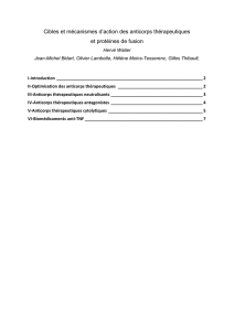 II-Optimisation des anticorps thérapeutiques