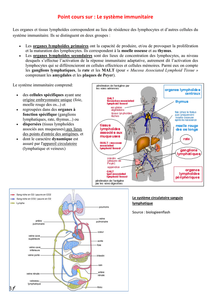 Le Syst me Immunitaire