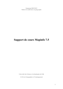 Support de cours –SIG sous Mapinfo 7