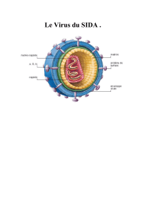Le Virus du SIDA - Le Site du Dr. Hibbert