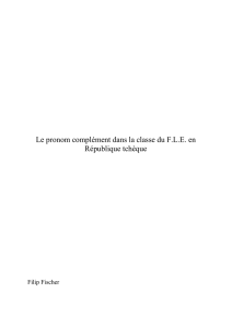 Le pronom complément dans la classe du F.L.E. en République