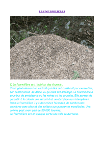 LES FOURMILIERES 1) La fourmilière est l`habitat des fourmis . C
