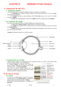 CHAPITRE II REPRESENTATION VISUELLE I: Organisation de l`œil