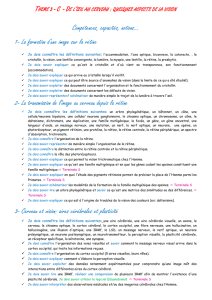 Thème 3 - C - De l`œil au cerveau : quelques aspects de la vision