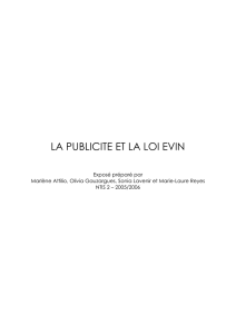 La Publicité et la loi Evin - Communication Publicitaire Audiovisuelle