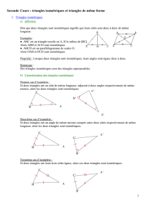 Triangles isométriques et de même forme