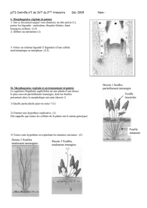 1°S Contrôle n°1 de SVT du 2ème trimestre