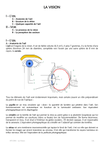 BTS L`OEIL - Gistlabs.net