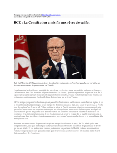 BCE : La Constitution a mis fin aux rêves de califat : Kapitalis : http