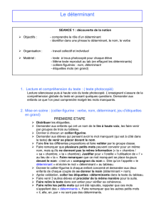 Lecture et compréhension du texte : ( texte photocopié) Lecture