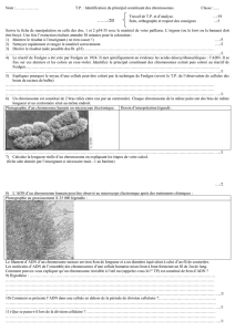 3nv_genetique_tp_adn_chromosomes_cezanne ( DOC