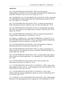 ARTICLES