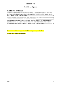 Annexe VII. TDR Rapport Audit