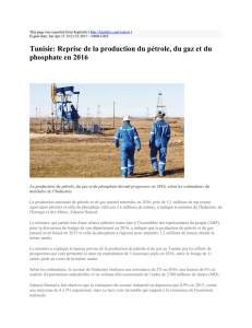 Tunisie: Reprise de la production du pétrole, du gaz et du