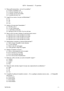 QCM Grammaire-2