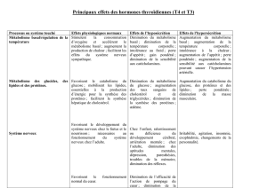 Principaux effets des hormones thyroïdiennes (T4 et T3) Processus