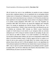 French translation of the abstract provided by : Marceline Côté