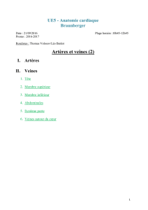 p2-ue5-braunberger-arteres-et-veines-2-28-09-pdf