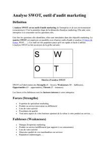 Analyse SWOT, outil d`audit marketing