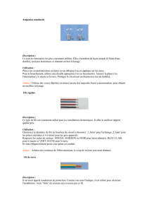 Ampoules standards