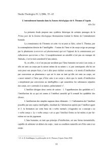 Studia Theologica IV, 1/2006, 53