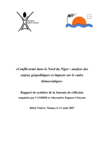 Rapport de la journée de réflexion sur l`insécurité au Nord du Niger