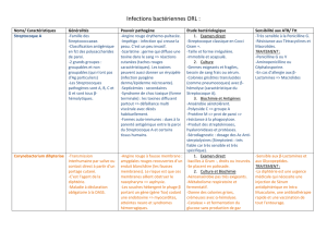 Infections bactériennes ORL : Noms/ Caractéristiques Généralités