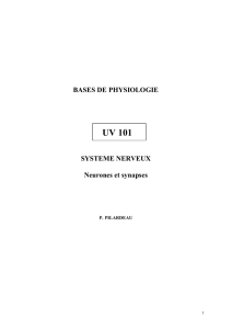 UV_101_BASES_DE_PHYSIOLOGIE_NEURO