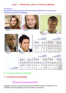 Leçon 2 : L`hérédité : des caractères aux chromosomes