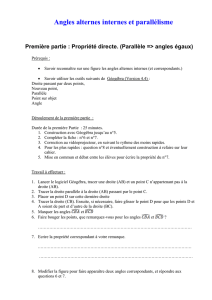 Angles alternes internes et parallélisme