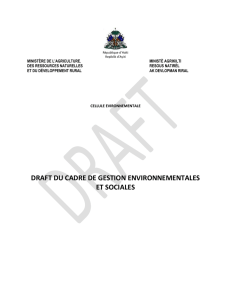 draft document Gestion environnementale et sociale